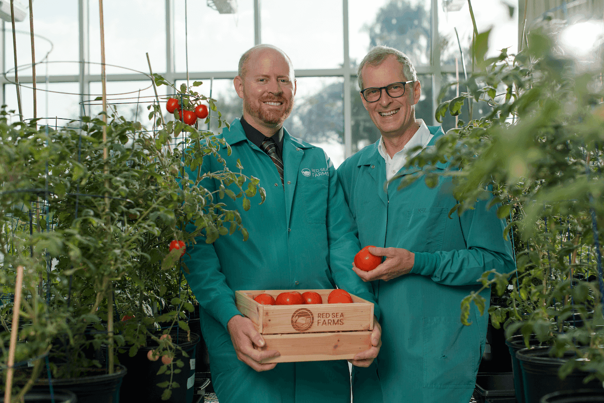 2 RSF founders with tomatoes 1