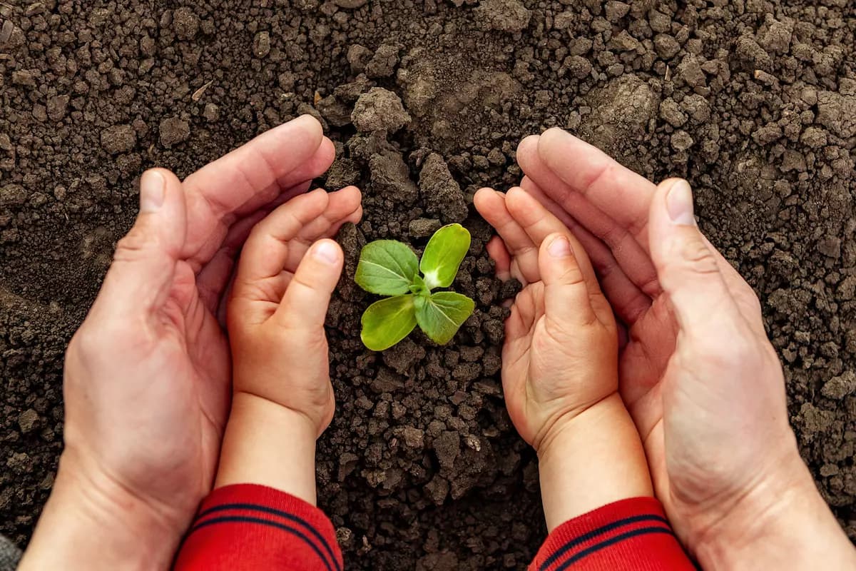 Together for a greener future