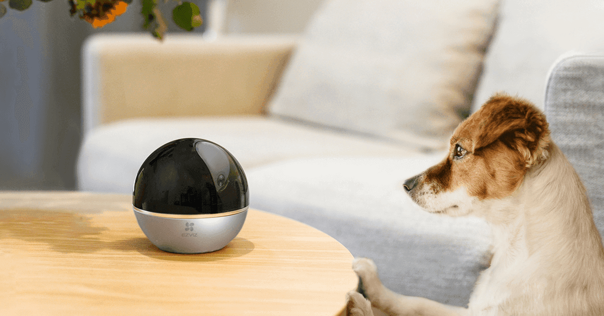 EZVIZ C6W pan and tilt indoor camera with pet
