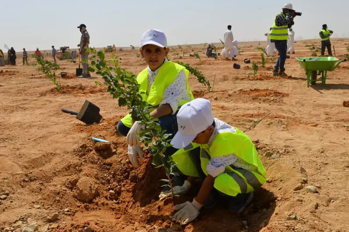 الرياض الخضراء 22 يحتفل باليوم الوطني بزراعة خريطة المملكة بمشاركة أهالي المدينة 22 4