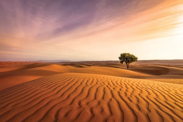 Decarbonizing the GCC's Power Sector_ssict_720_480