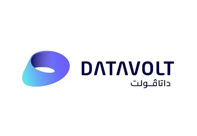 DataVolt Logo_1701265817_ssict_650_450
