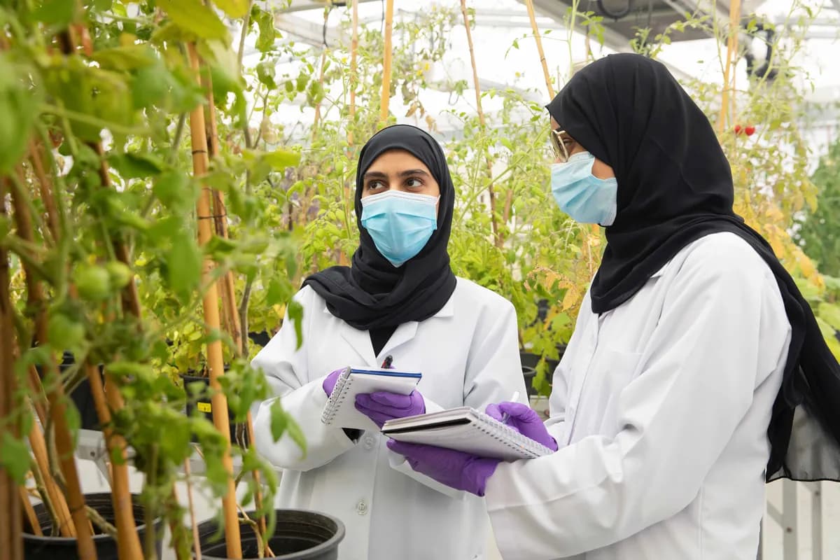جامعة الإمارات تدعم التقدم العلمي والبحثي بتمويل 132 مشروعاً بحثياً يُعزّز الابتكار والتطوير3_ssict_1200_800