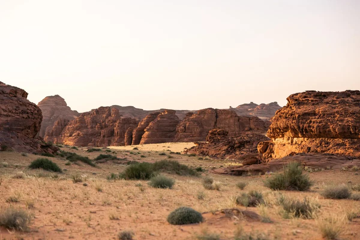 Sharaan Platinum Lunch Safari - Platinum Heritage Saudi (8).jpg_ssict_1200_800