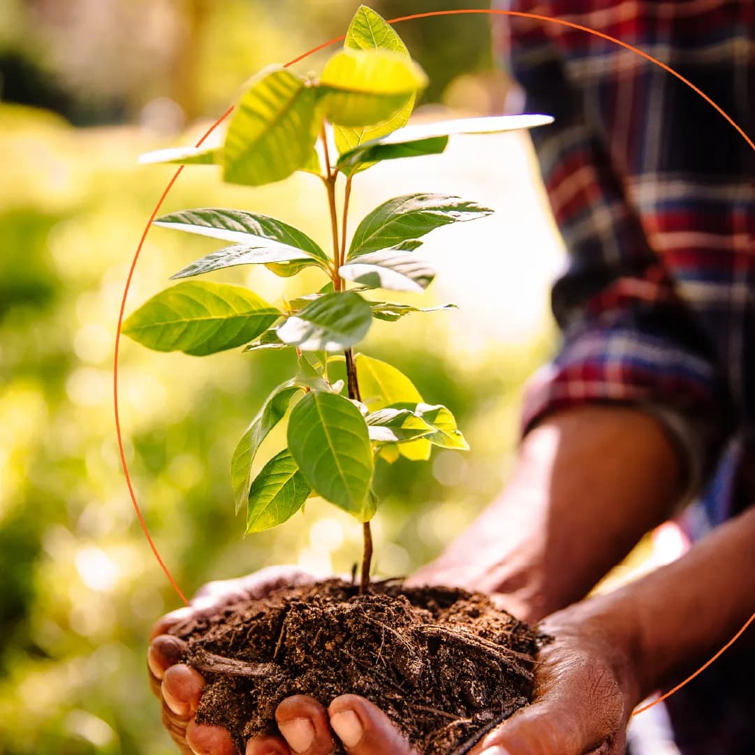 Mastercard Priceless Planet Coalition expands forest restoration effort_ssict_1081_1081