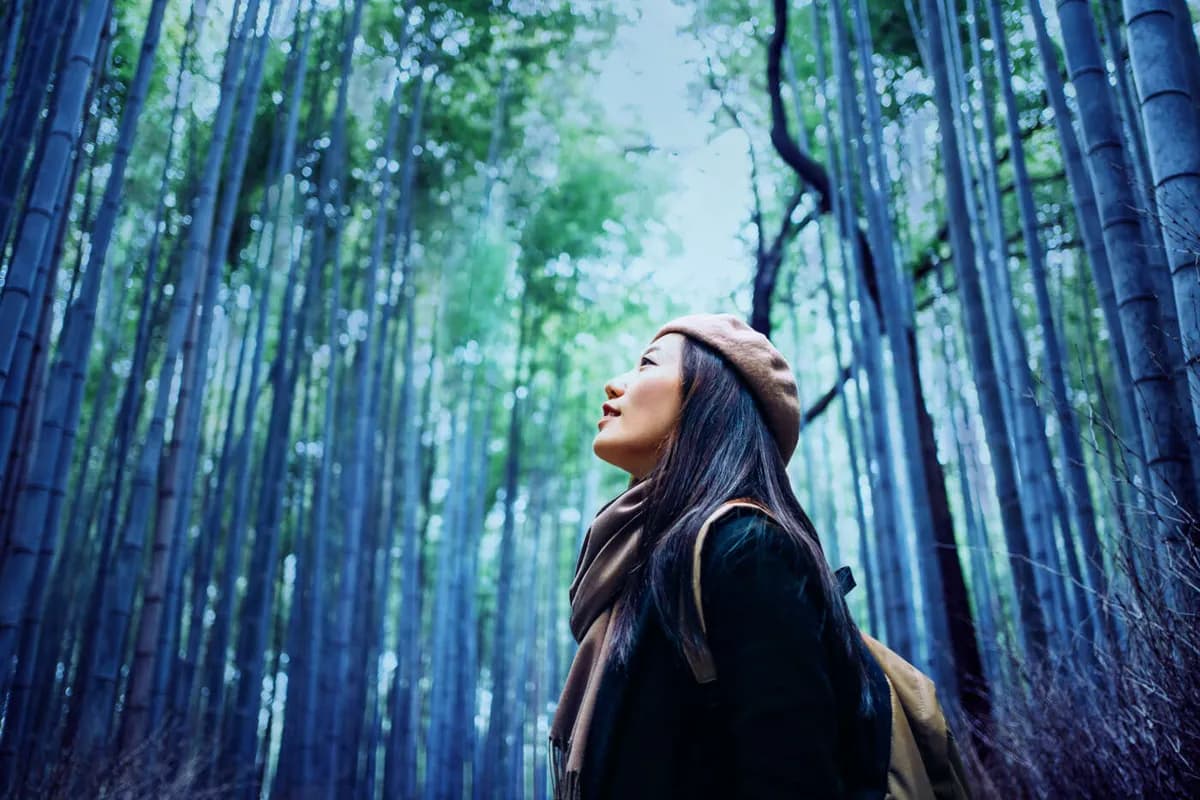 Ericsson_A woman walking through a remote forest_ssict_1200_800