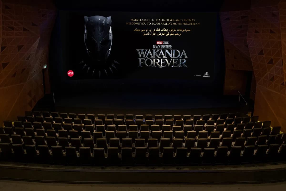 Black Panther photo - resized_ssict_1200_800