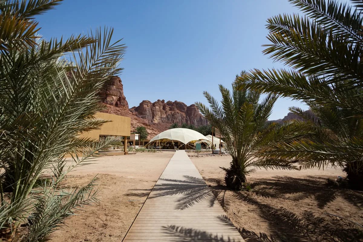 Five Senses Sanctuary will host daily sensory-based wellness experiences_ssict_1200_800