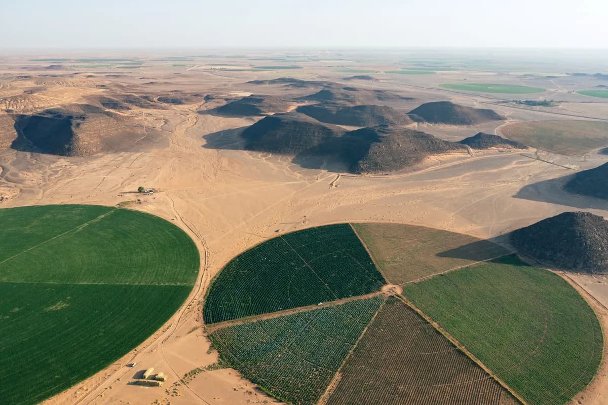 InFlavour set to grow Kingdom? s F&B sector, promote Saudi culture and discover ways to tackle food security challenges_ssict_1200_799