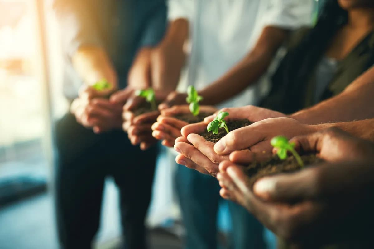Mega Green Accelerator Applications Open_2_ssict_1200_801